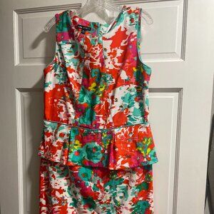 Plus Size Multi-Color Peplum Dress